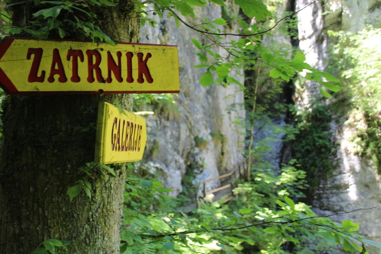 Homestead Zatrnik Near Bled Exterior photo